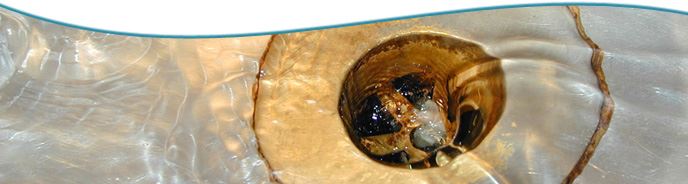 Water draining